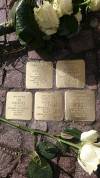 Stolperstein an der Breiten Straße 4 Torgau