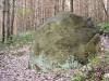 Imhoff-Stein in der Dahlener Heide